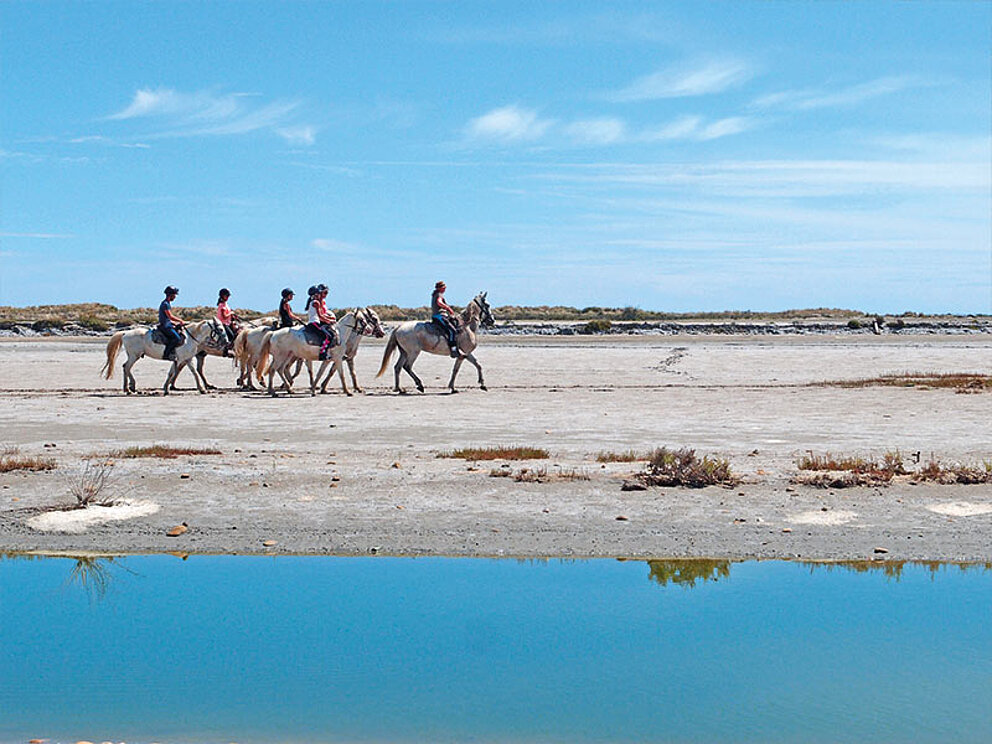 Camargue-Pferd mit Reitern am Ufer eines Flusses