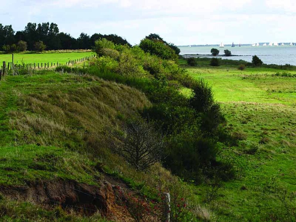 Küstenlandschaft mit Wiesen und Klippen am Ijsselmeer