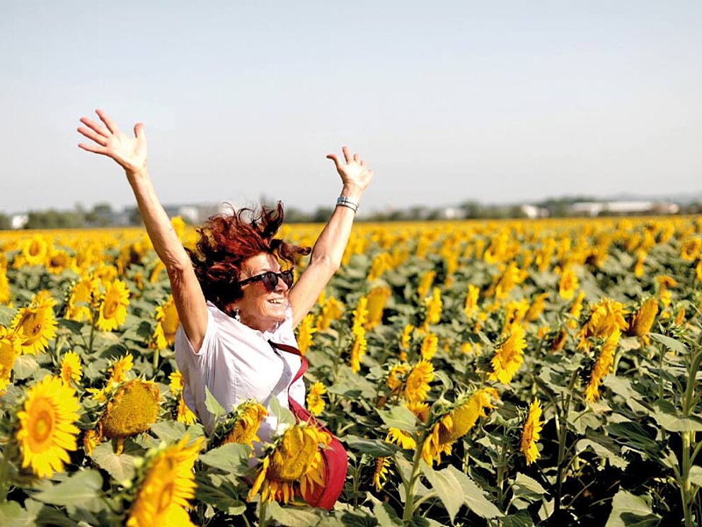 eine Dame steht inmitten eines Sonnenblumenfeldes. Alle Blüten sind aufgeblüht.