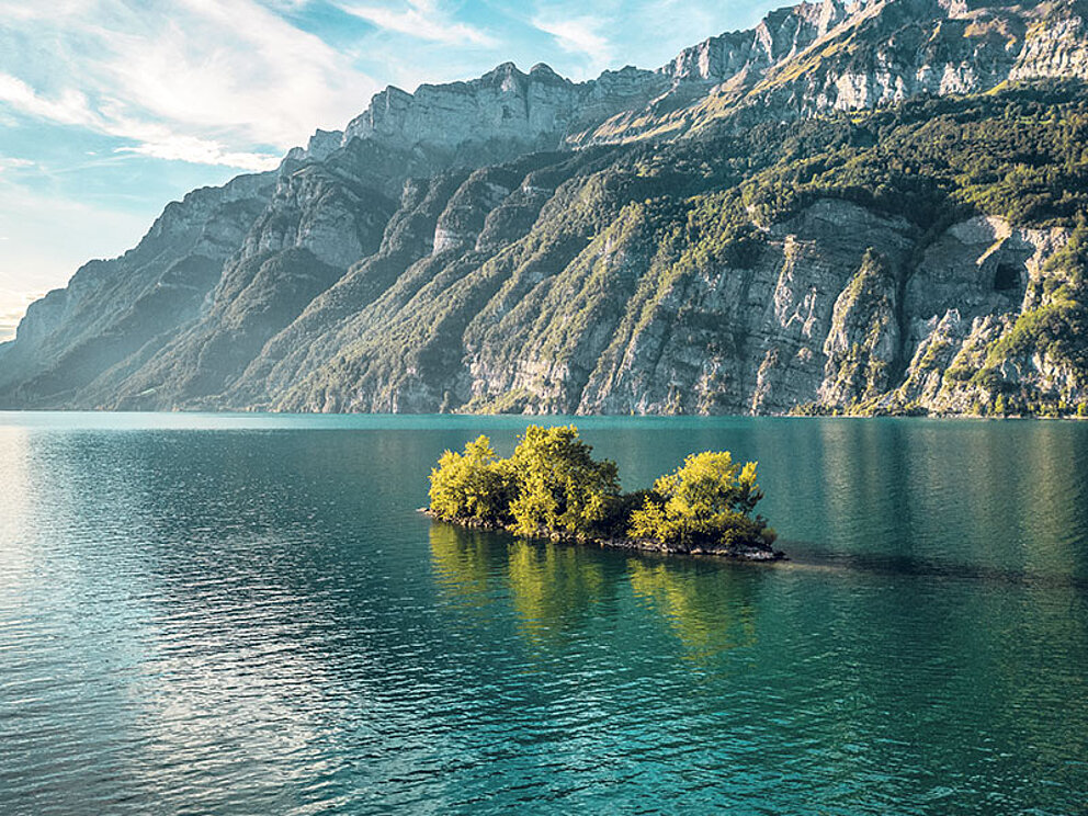 Mini Insel mit 3 Bäumen im Walensee. Am Seeufer ragen mächtige Berge empor.