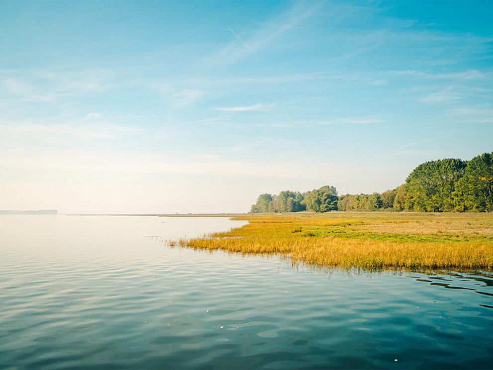 Sundische Wiesen am Bodden von Fischland-Darß-Zingst