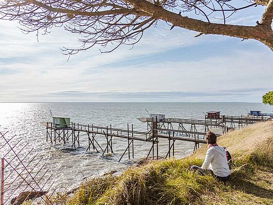 ein person unter einem Baum mit Blick aufs Meer