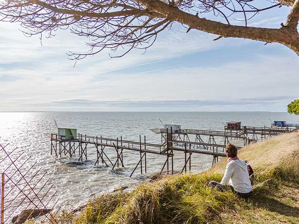 ein person unter einem Baum mit Blick aufs Meer