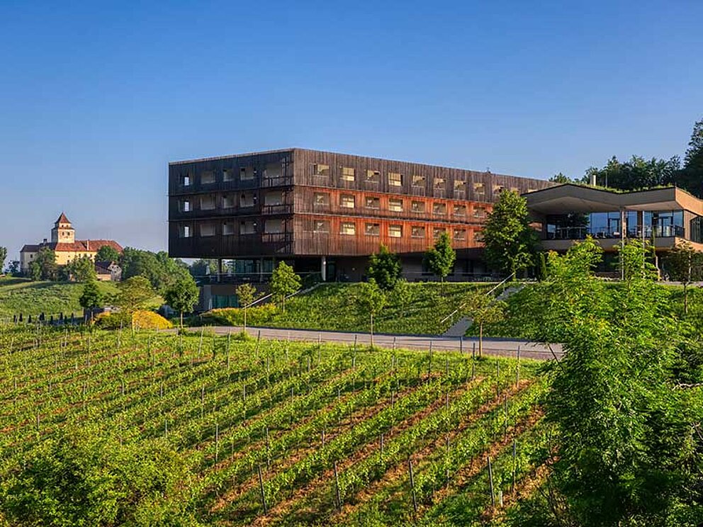 Hotel Lisium inmitten von Weingärten 
