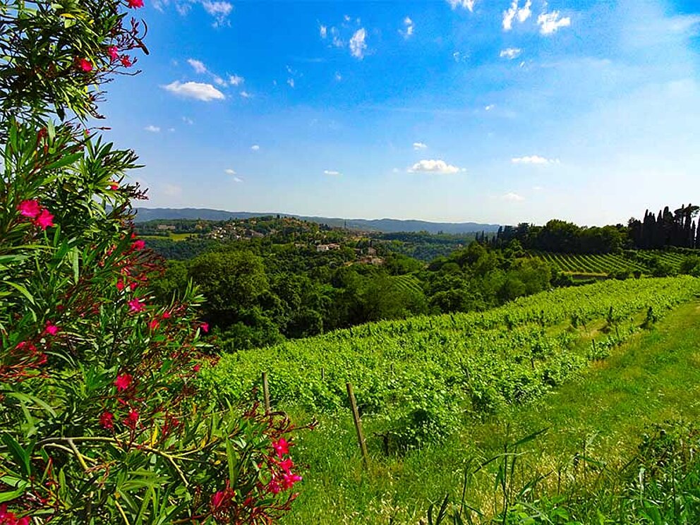 Blick auf die Landschaft bei blauem Himmel