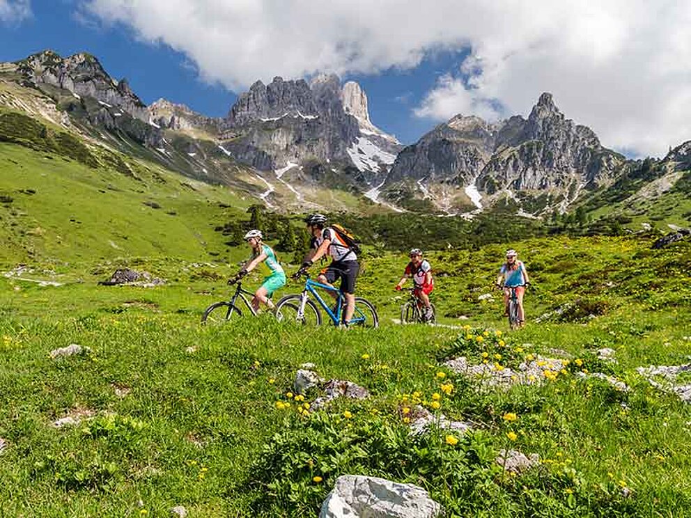 4 Mountainbiker unterwegs auf der Dachsteinrunde mit Bergblick und blühenden Wiesen