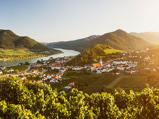 Blick auf Spitz und die Donau