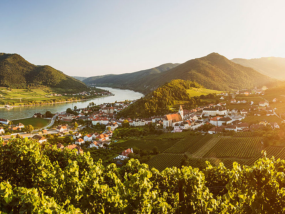 Blick auf Spitz und die Donau
