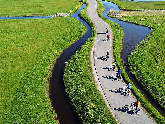 ein Radweg umgeben von Bächen mit 7 Radfahrern