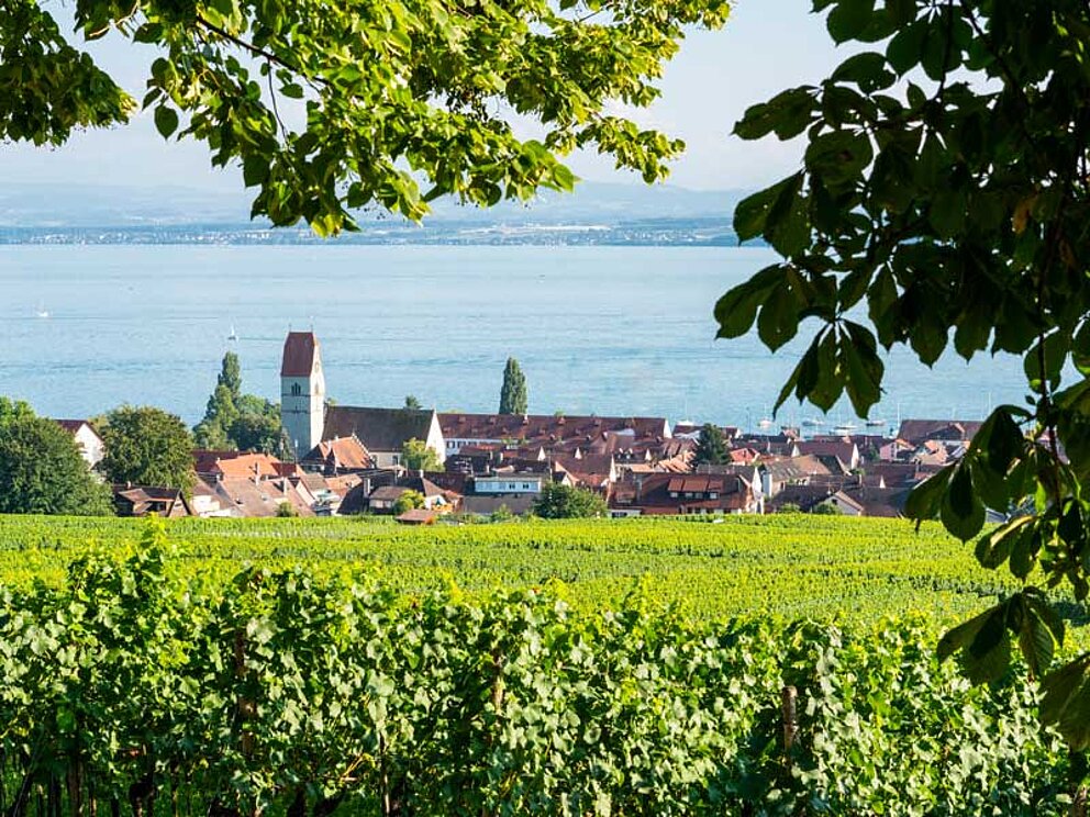 Blick aus den Weinbergen über den Ort Hagnau auf den Bodensee