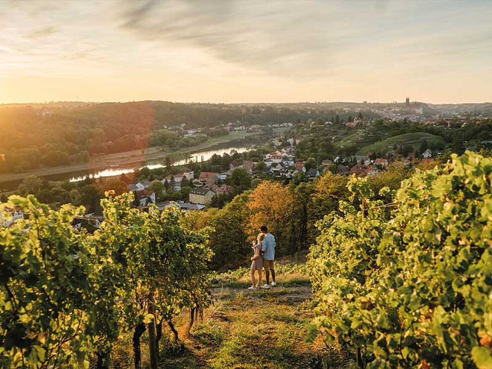 2 Personen in der Abenddämmerung im Weingarten, die den Sonnenuntergang genießen