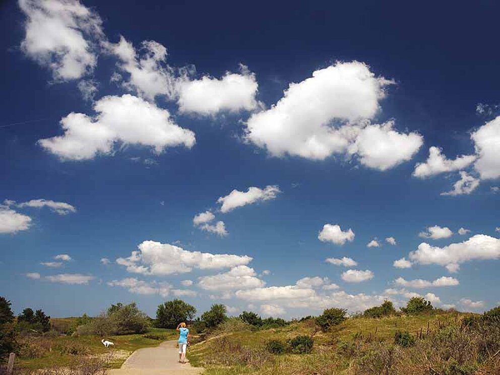 Frau mit Hund in den Dünen vor Zandvoort in Holland
