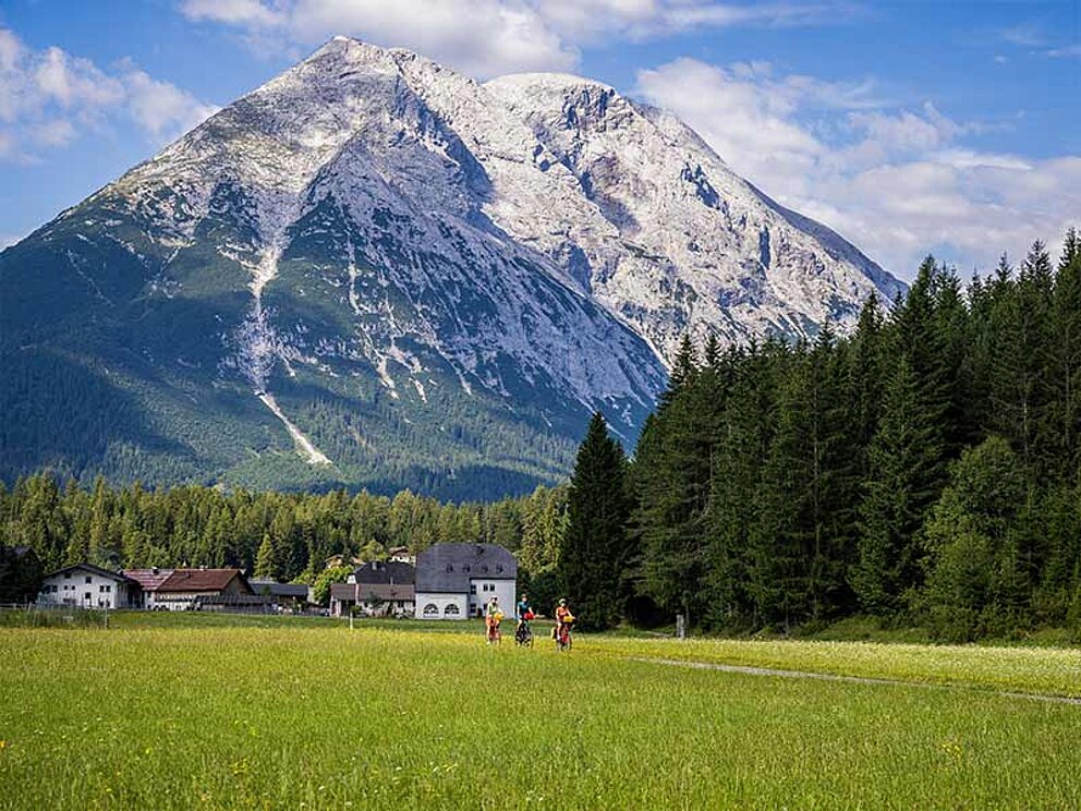 Panorama mit Berg, davor ein flacher Radweg