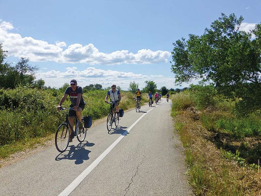 Eine Gruppe mit Radfahrer auf einem asphaltierten Radweg mitten durch unberührte Natur