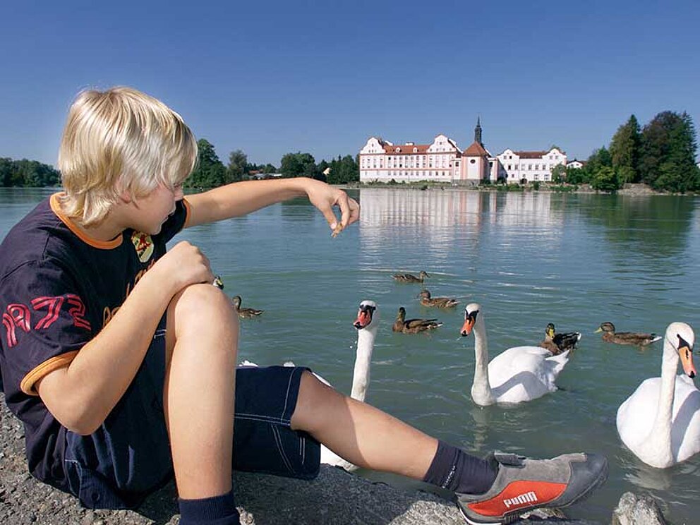 Kind beim Schwänefüttern am Inn-Fluss in Schärding