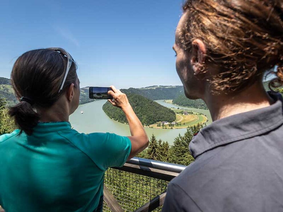 Schlögener Blick