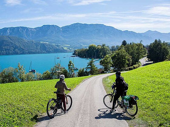 Radfahrer am Radweg zum Attersee im Salzkammergut