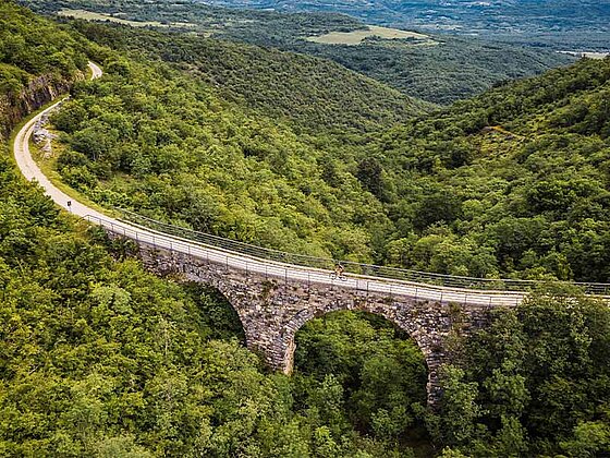 Luftaufnahme einer alten Eisenbahnbrücke, umgeben von Wäldern