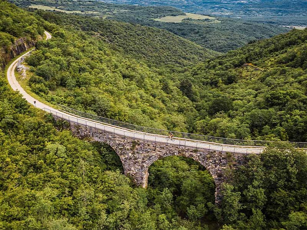 Luftaufnahme einer alten Eisenbahnbrücke, umgeben von Wäldern