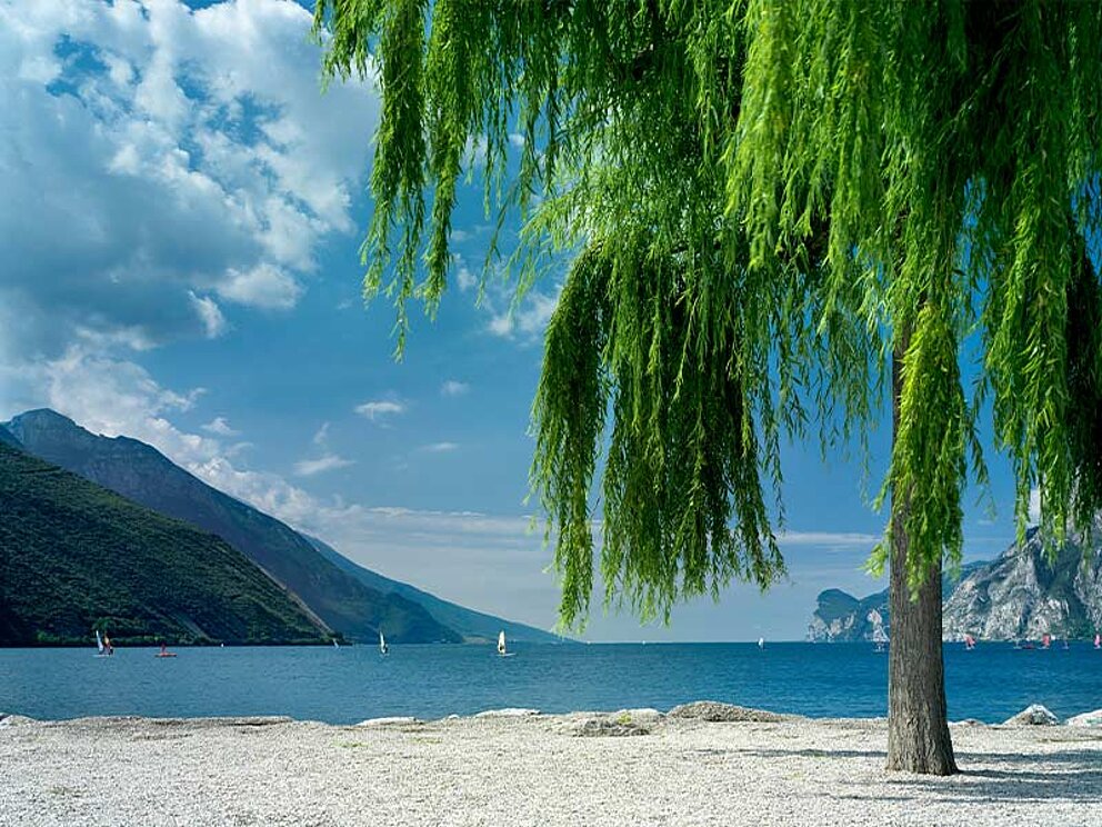 Blick auf den Gardasee und Berge
