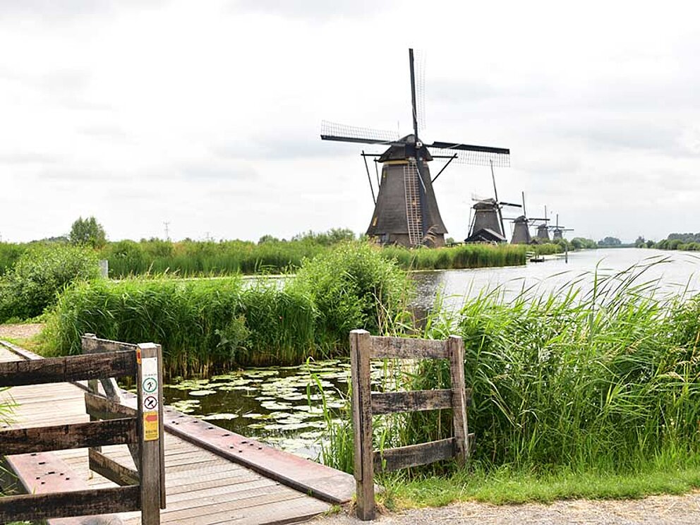 Die Mühlen von Kinderdijk