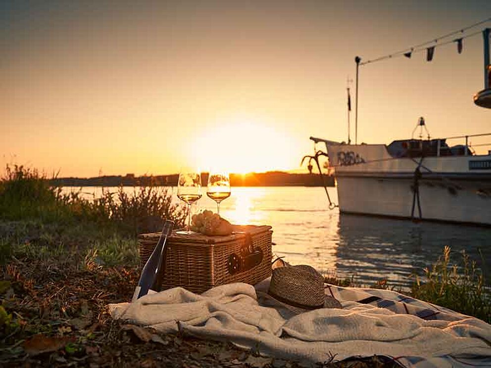 Picknick bei Sonnenuntergang an der Tullner Donaulände