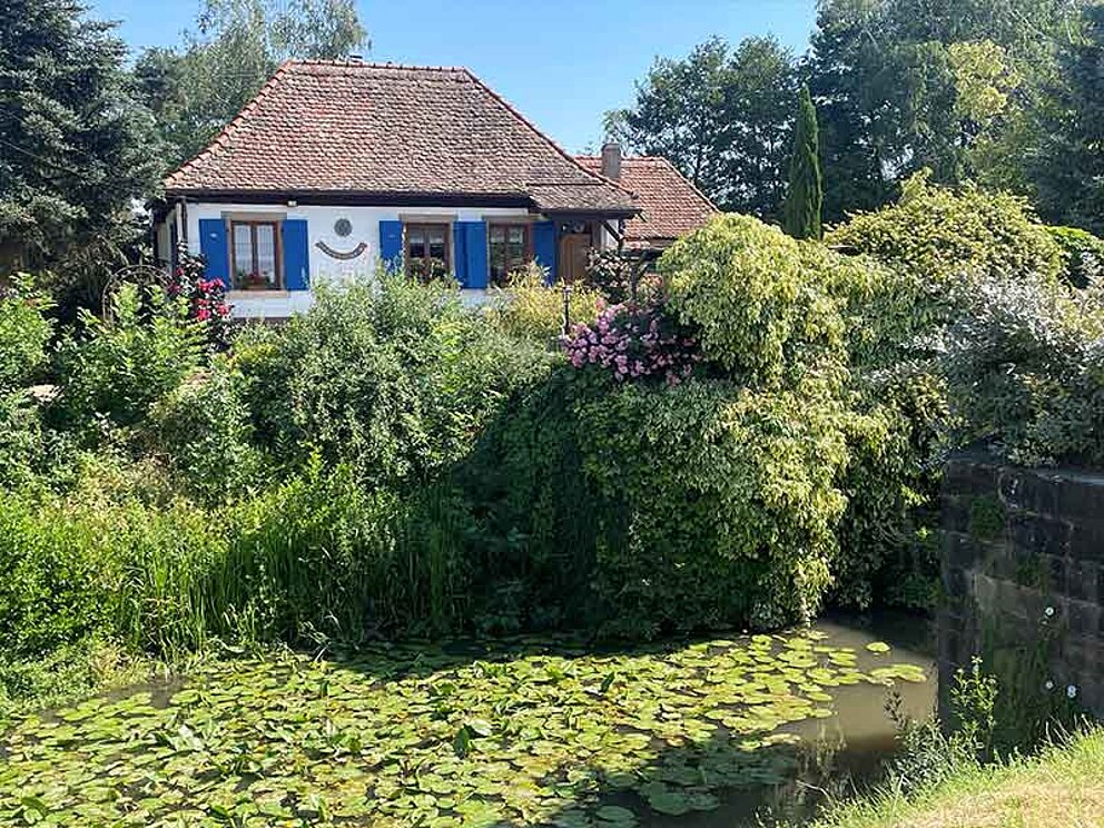 ein altes Haus vor einem verwachsenen Fluss mit Seerosen