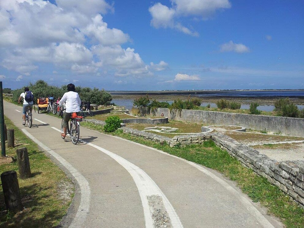 2 Radfahrer am asphaltierten Radweg an der Küste