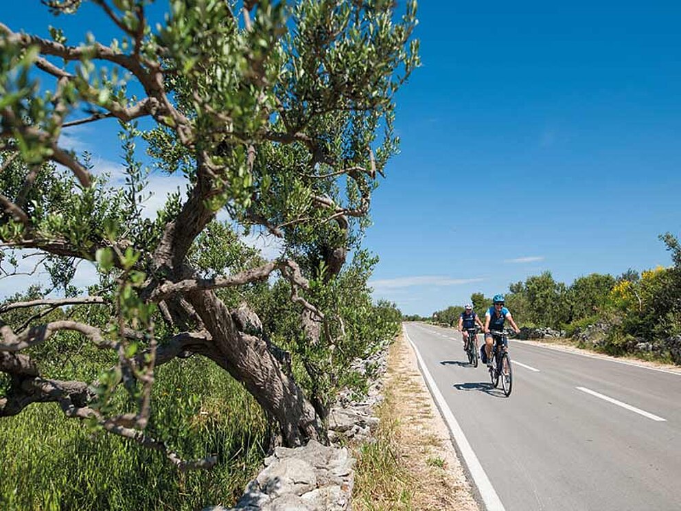 2 Radfahrer auf einer Straße