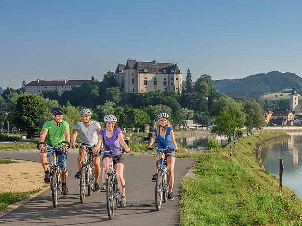 Rad-Gruppe unterwegs am Donauradweg bei Grein mit Schloß Greinburg