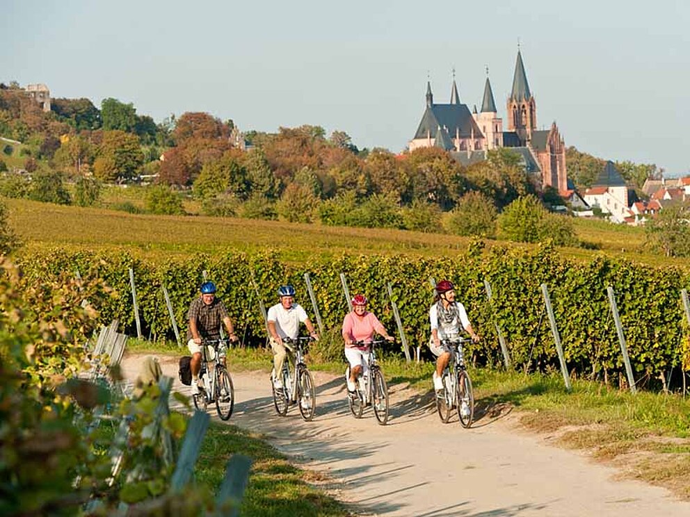 Radfahrer vorbei an Oppenheim am Rheinradweg in Deutschland