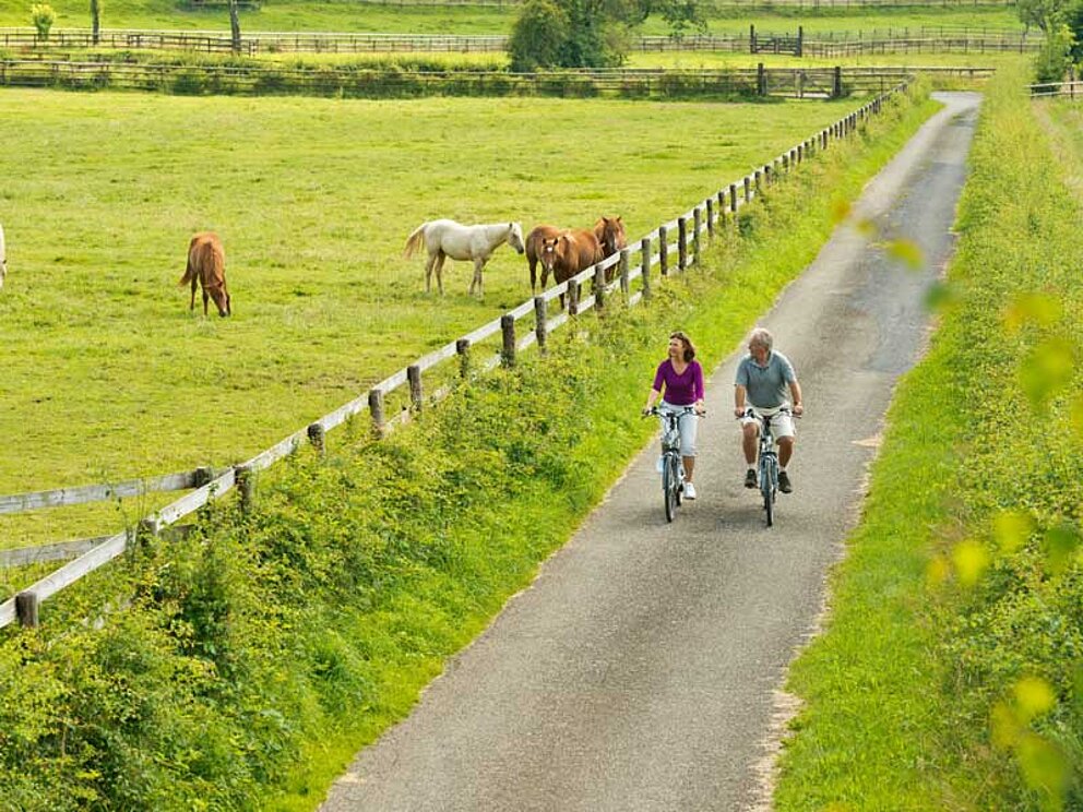 2 Radfahrer auf einsamer Straße umgeben von Kuhweiden.