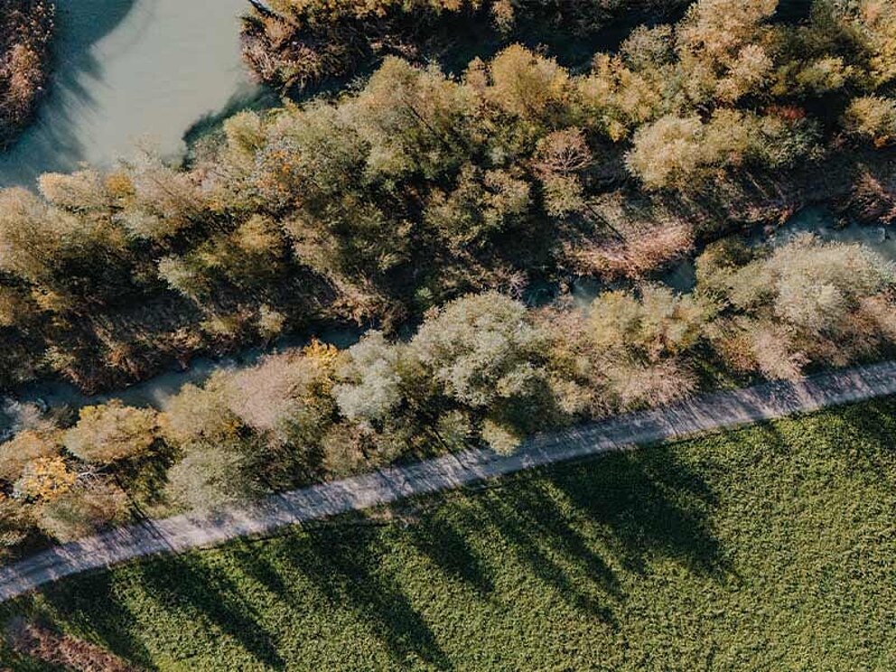 Der Donauradweg am Donauufer von oben.