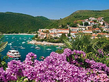 Blick auf den Ort Rabac, im Vordergrund herrliche blühende mediterrane Sträucher