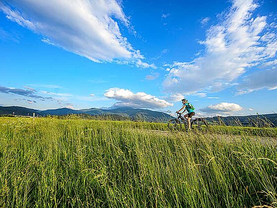 Radfahrer unterwegs am Murradweg in der Steiermark