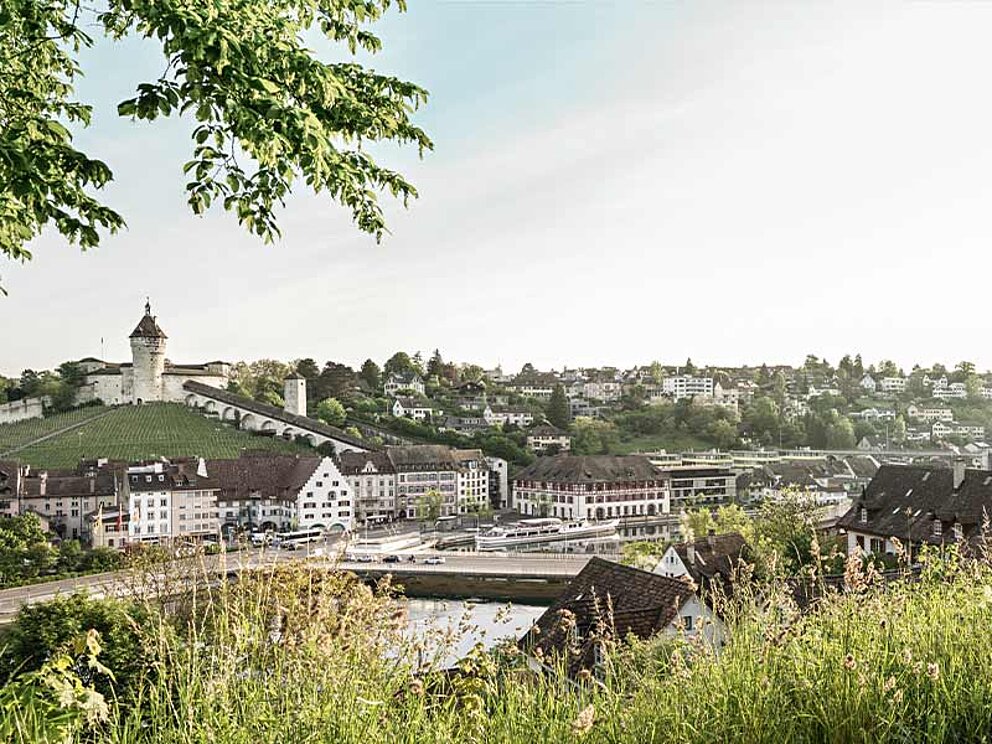 Blick auf Schaffhausen in der Schweiz