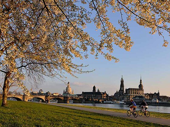 Silhouette von Dresden mit Radweg an der Elbe