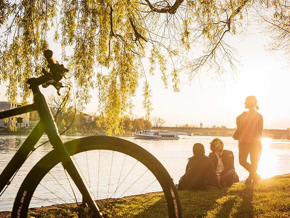 Sonnenuntergang bewundern mit Radfahrer-Freunden am Bodensee in Konstanz
