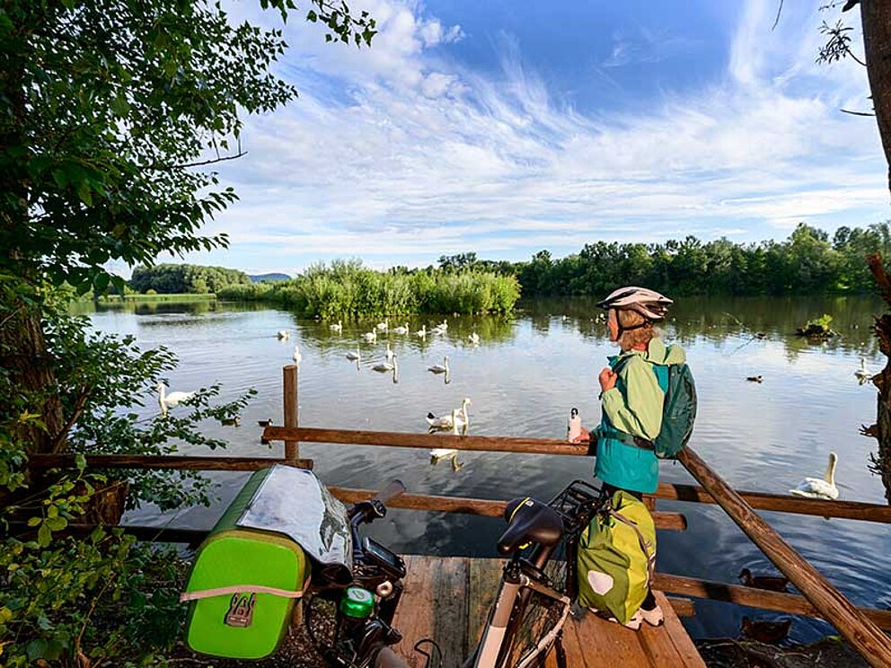 Radfahrer am Stausee