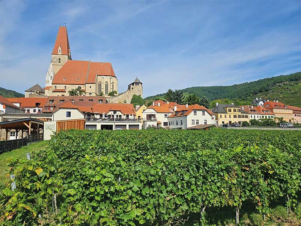 Ortansicht mit Kirche und Weingärten