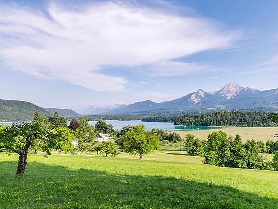 Landschaft mit Wiese, See und Gebirge im Hintergrund
