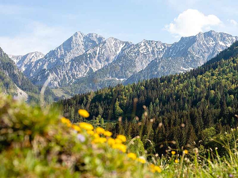 Hengstpass in den Kalkalpen