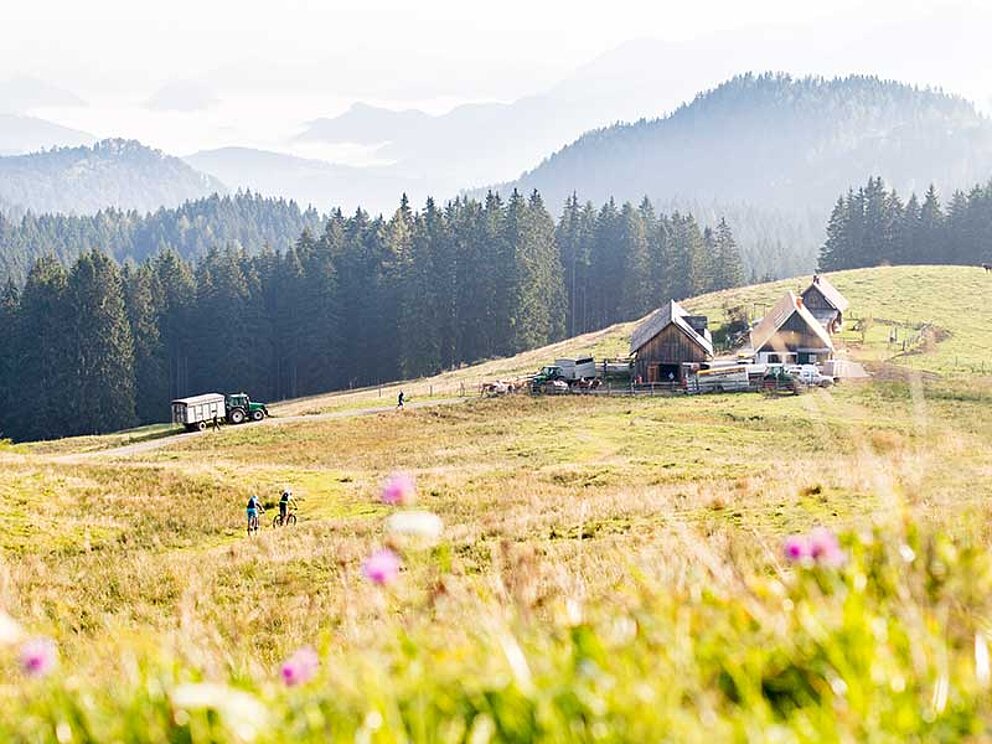 Blick auf die Ebenforstalm im Nationalpark Kalkalpen