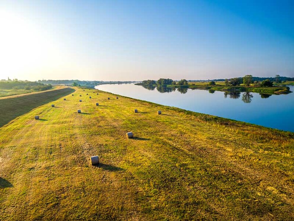 mowed river bank on the Elbe at sunset