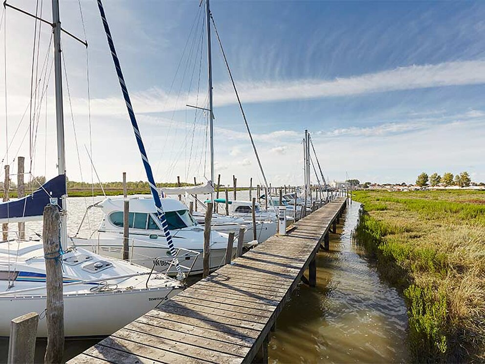 Steg am Hafen mit Segelbooten