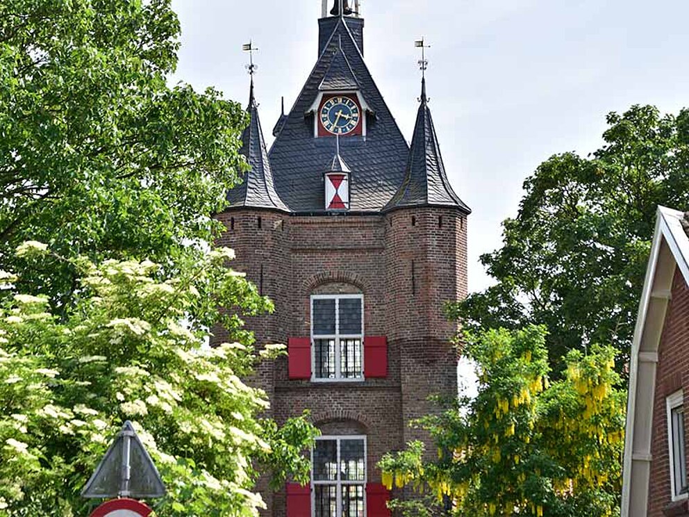 Ein Stadtturm in Vianen eingesäumt von Bäumen