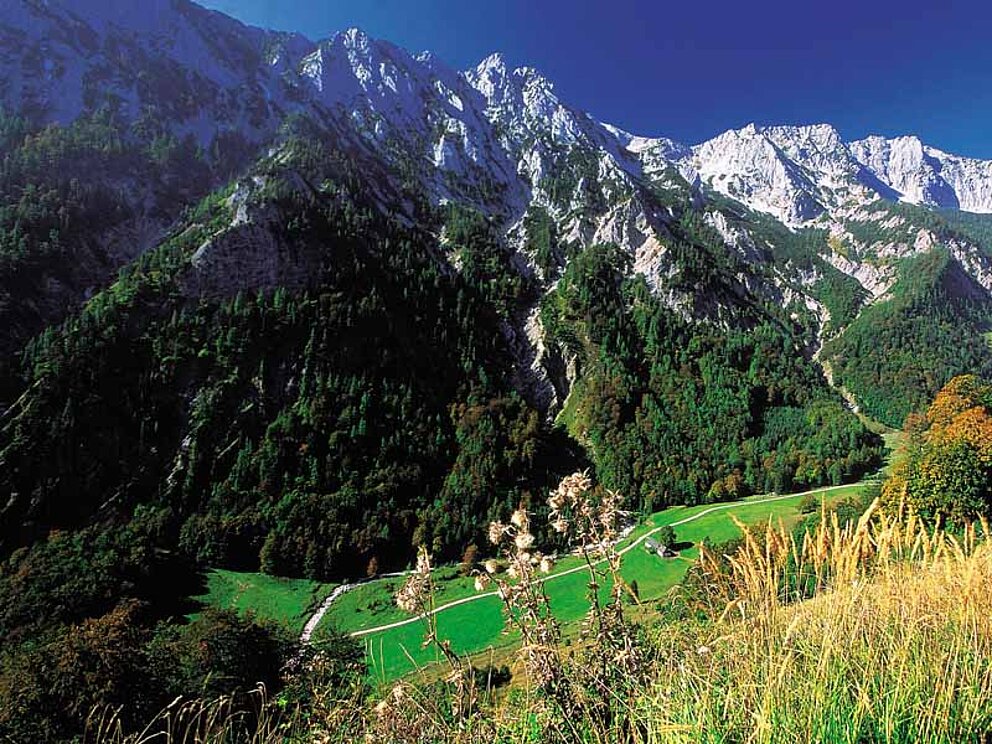 Die ursprüngliche Landschaft im Nationalpark Kalkalpen. Hohe Berge aus Kalkstein, Almwiesen und Wälder 
