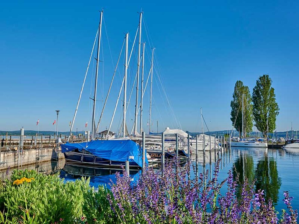 Segelboote in einem Hafen am Bodensee