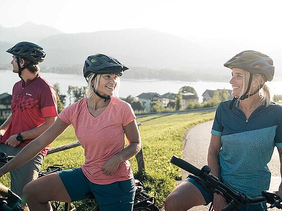 Radgruppe rastet am Radweg am Wolfgangsee