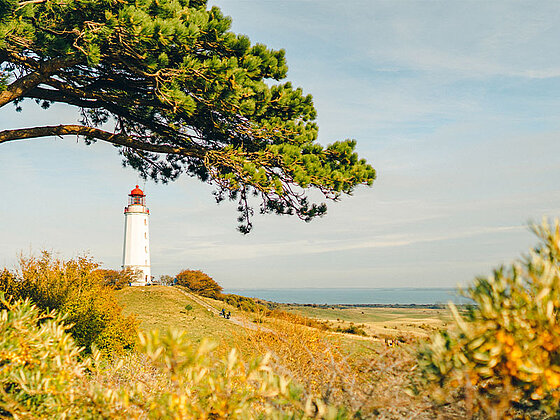 Leuchtturm am Dornbusch, Hiddensee